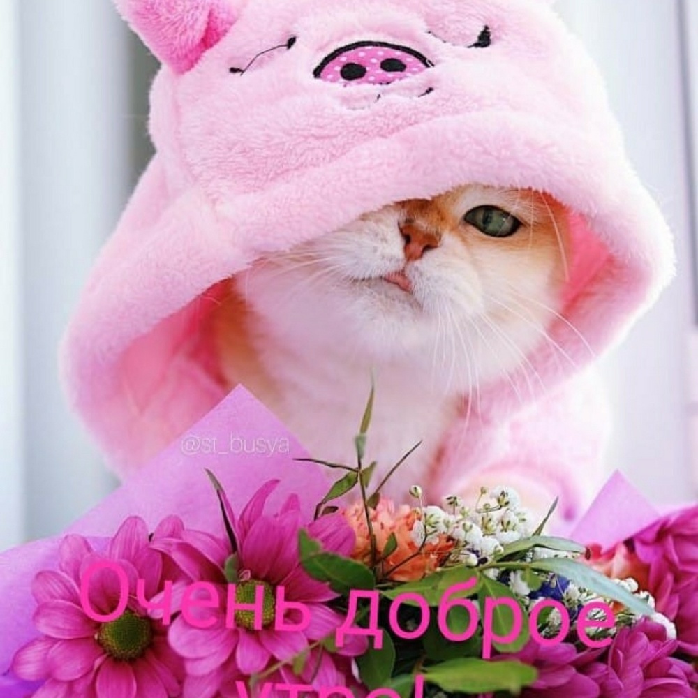 Meet your Posher, Gigi2949ddd